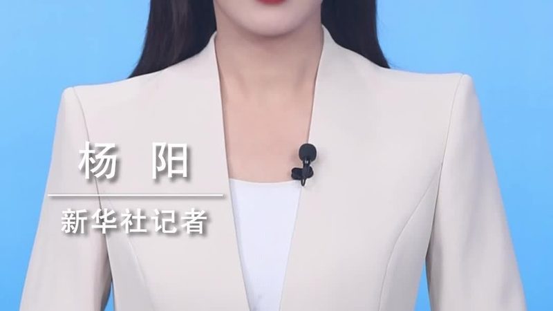 外贸网站技术外包：评价排名的背后逻辑与真实标准